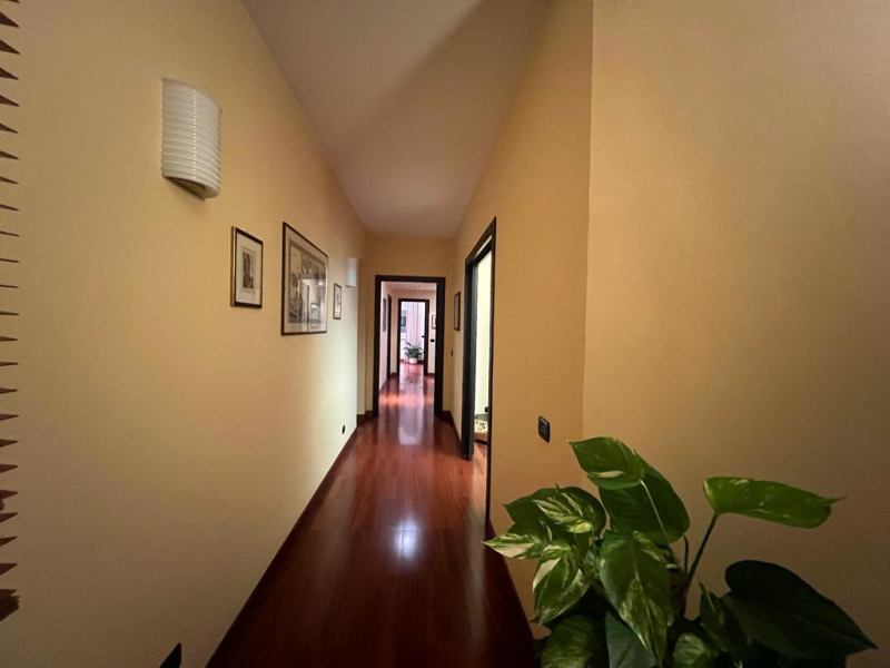 Images Studio Legale Castorina