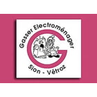 Gasser Electroménager Logo