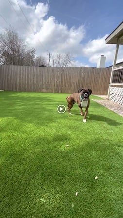 Images Waterloo Turf Austin