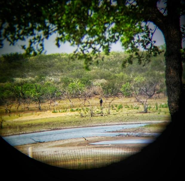 Images 4 Amigos Ranch