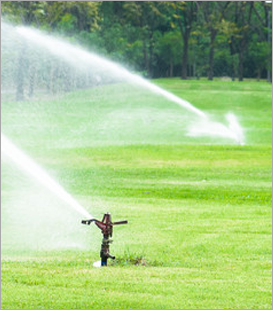 Images Jersey Shore Lawn Sprinkler