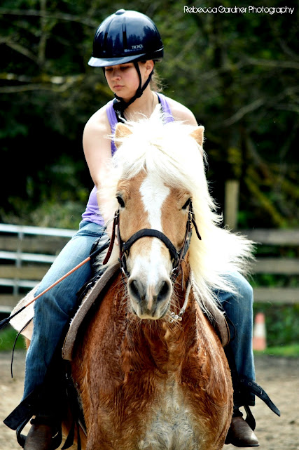 Images Pets Galore Horse Rides