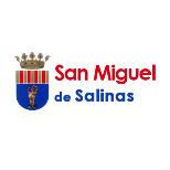 Ayuntamiento De San Miguel De Salinas Logo
