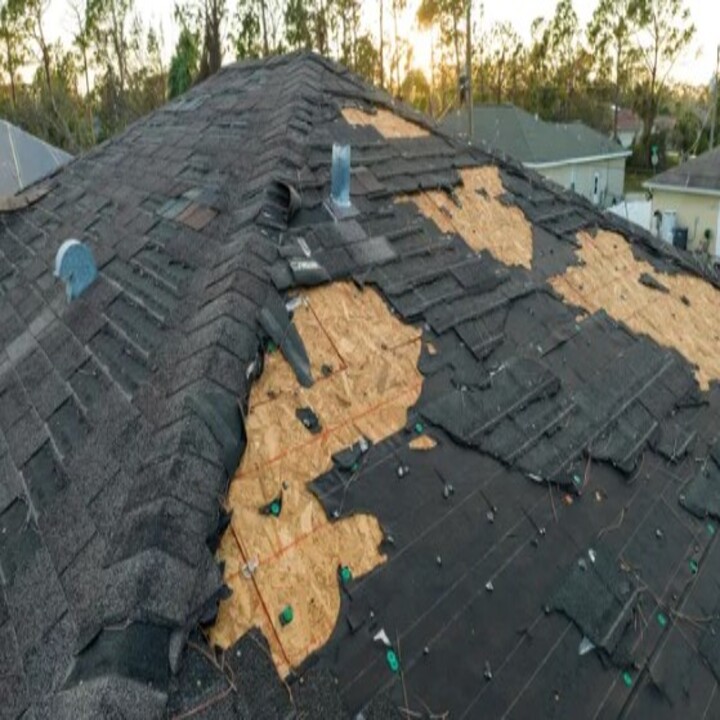 Images Pro Tree & Builders