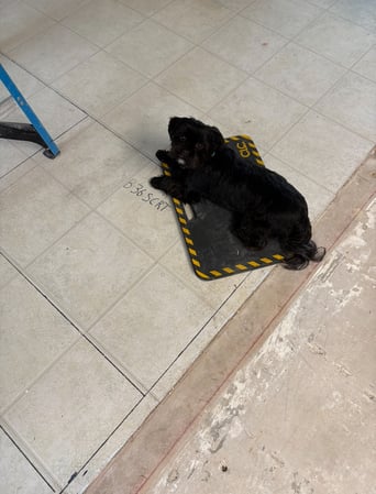 Images TWO Electrical Contracting