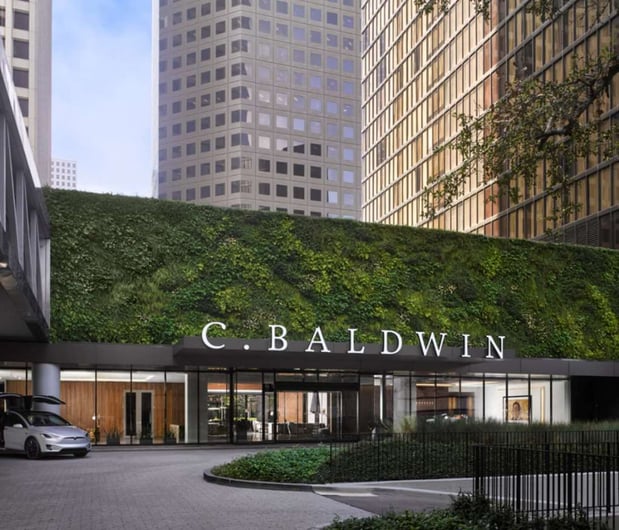 Images C. Baldwin, Curio Collection by Hilton