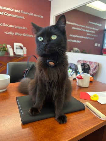 Images Lelly Woo-Grimes - State Farm Insurance Agent