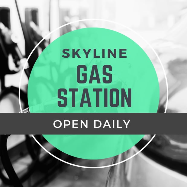 Images Skyline Gas Station