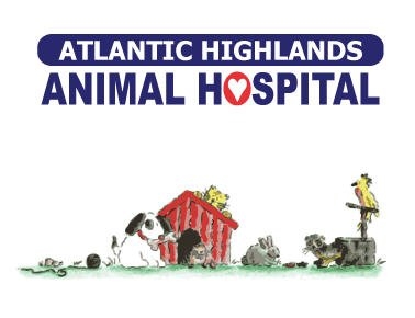 Images Atlantic Highlands Animal Hospital