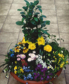 Kundenbild groß 16 Blumen Rutz