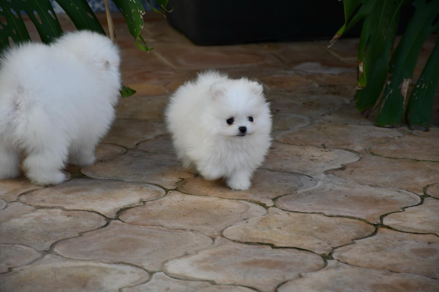 Images Olimpo De Zeus