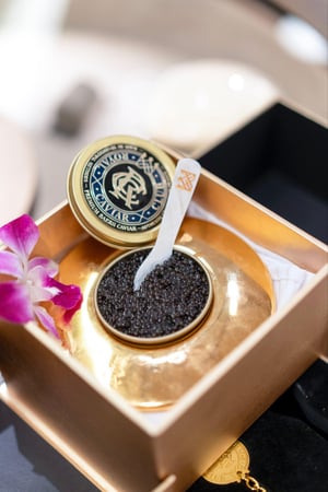 Images Lavish Gastronomy privé