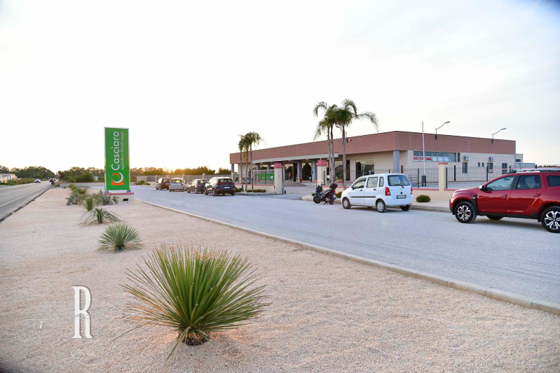 Images Casciaro Agricoltura