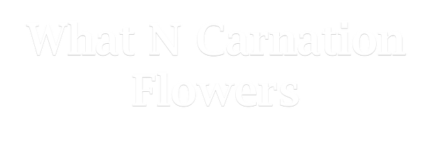 Images What N Carnation Flowers