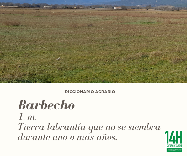 Images Catorcectáreas