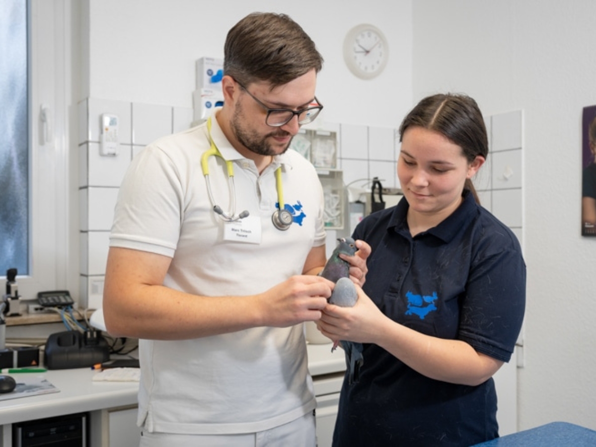 Bild 21 Tierarzt Hülsmann Speyer, Kleintierpraxis Dres. Hülsmann in Speyer