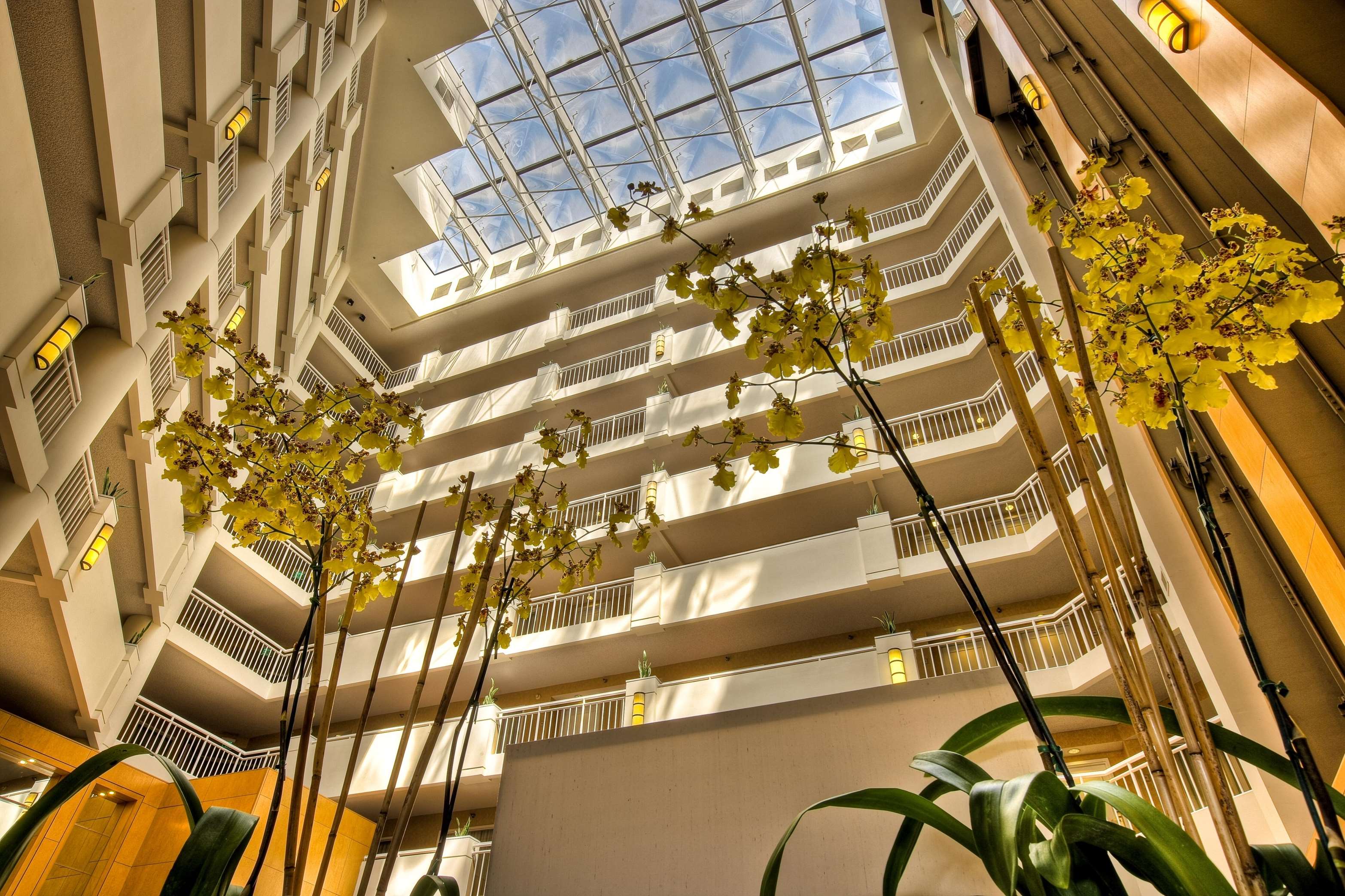 Doubletree coupons discounts