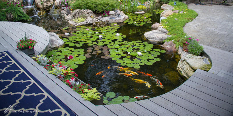 PONDS PROVIDE RELAXATION AND SOOTHING SOUNDS FOR YOUR SPACE.