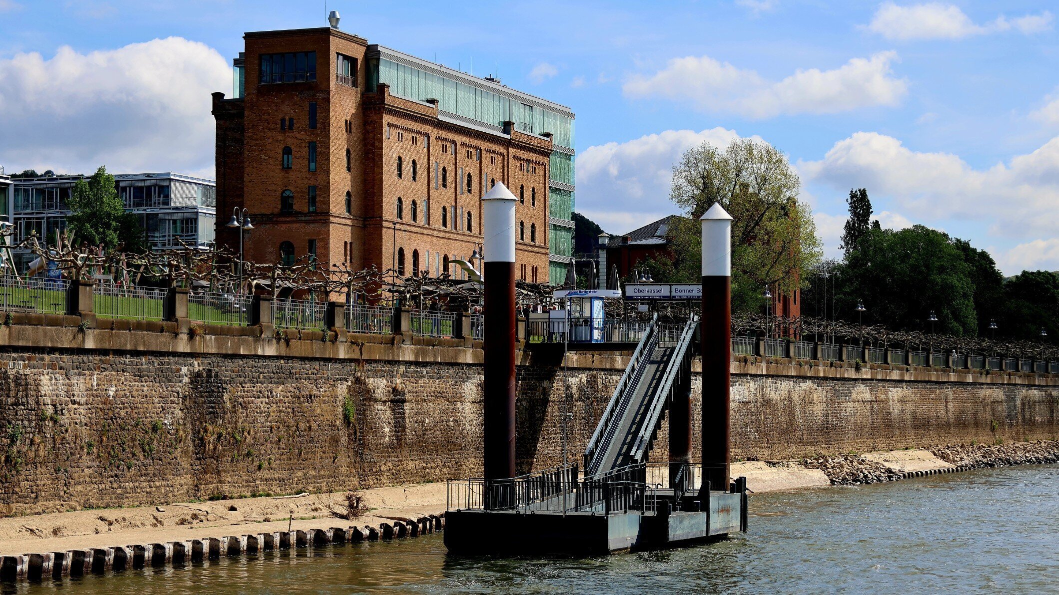 bear & elephant, Rheinwerkallee 6 in Bonn