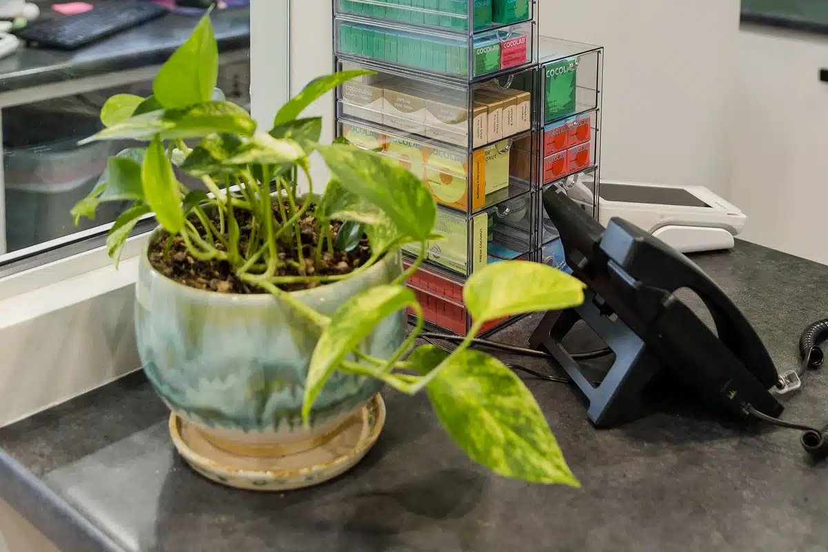 Pearl Dental Studio Office Interior