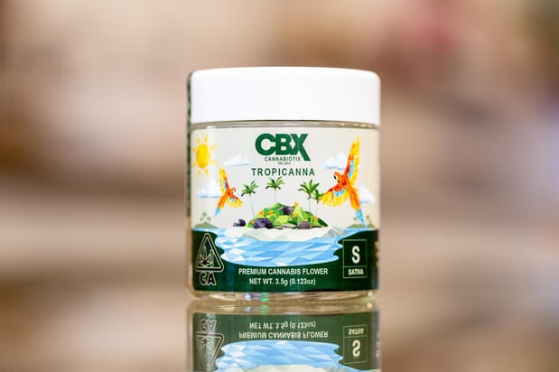 Images Catalyst Cannabis Bellflower