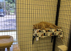 Images The Coastal Cat Resort And Spa
