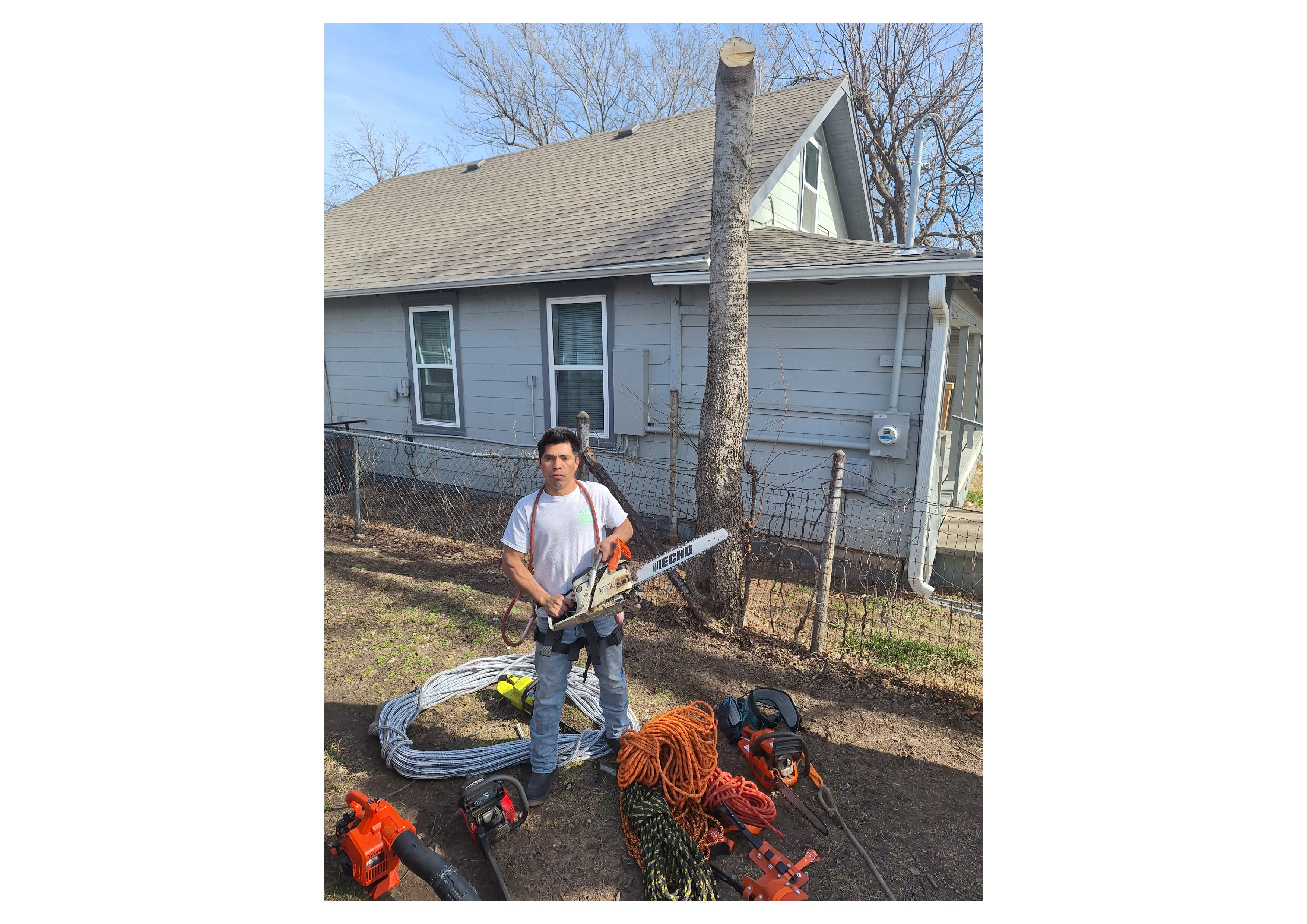 AR Lawn Care and Tree Service Image