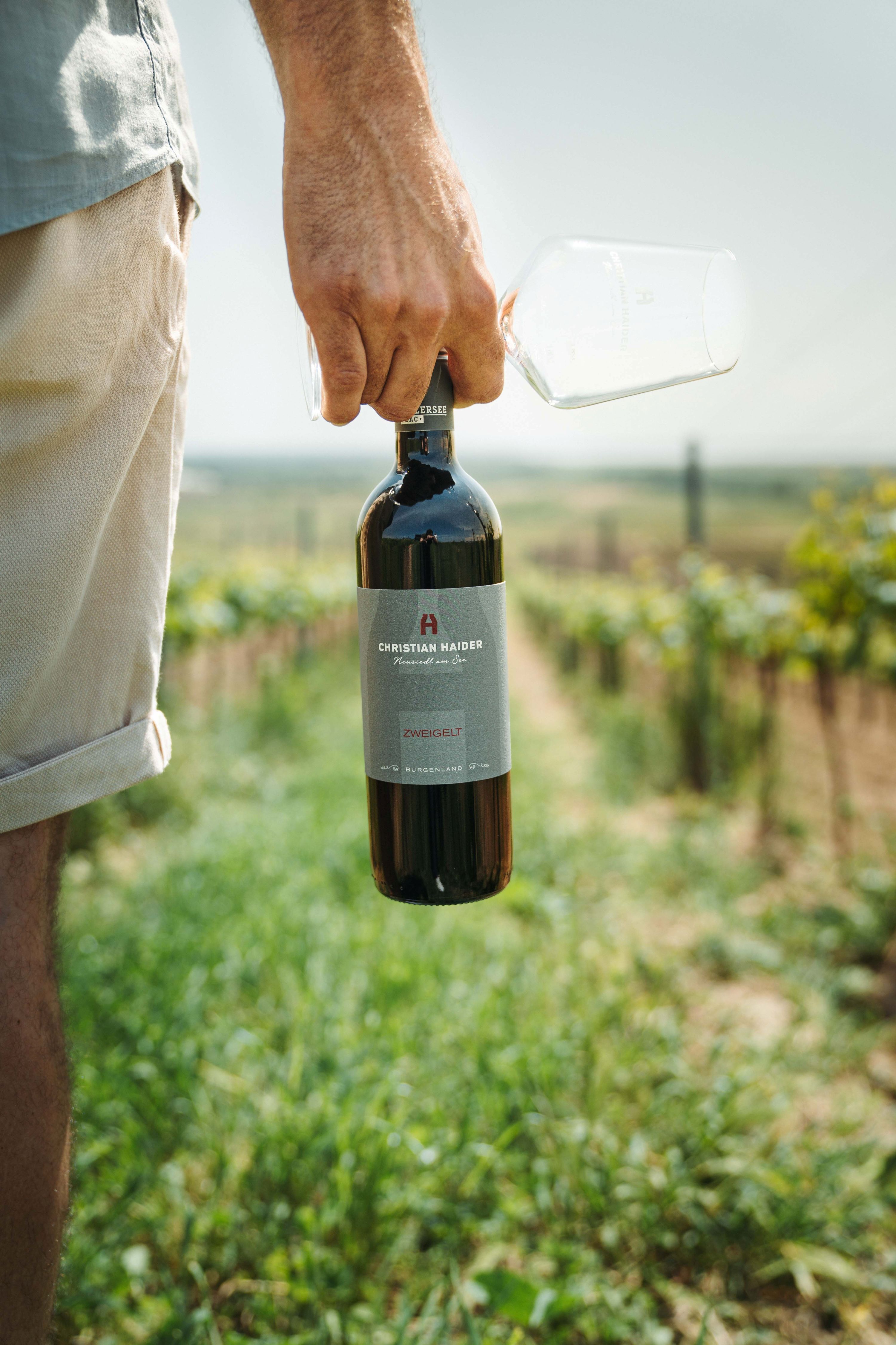 Weingut Christian Haider, Obere Hauptstraße 60-62 in Neusiedl am See