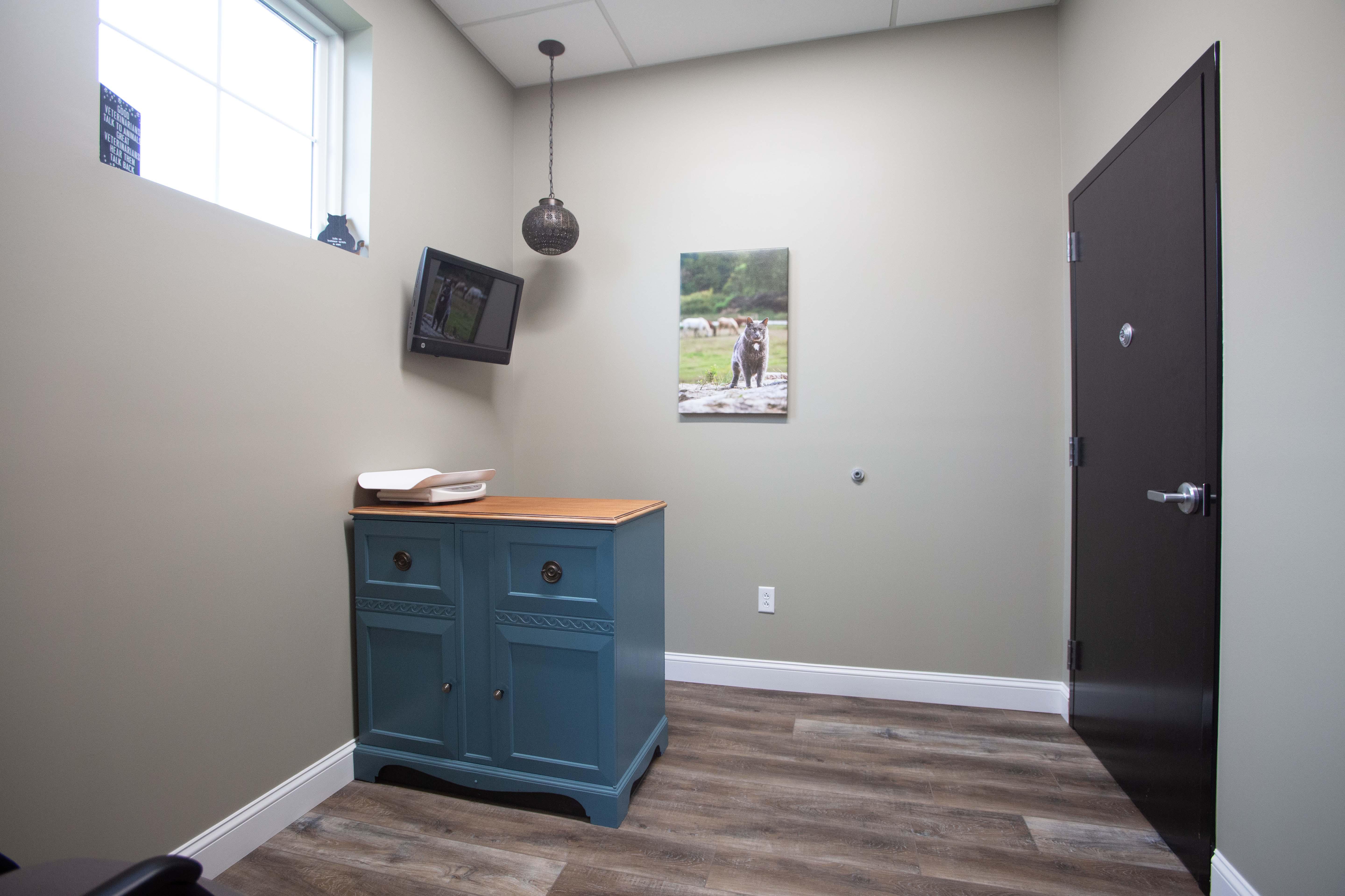 We have multiple private exam rooms where your pet will be examined by one of our experienced veterinarians.