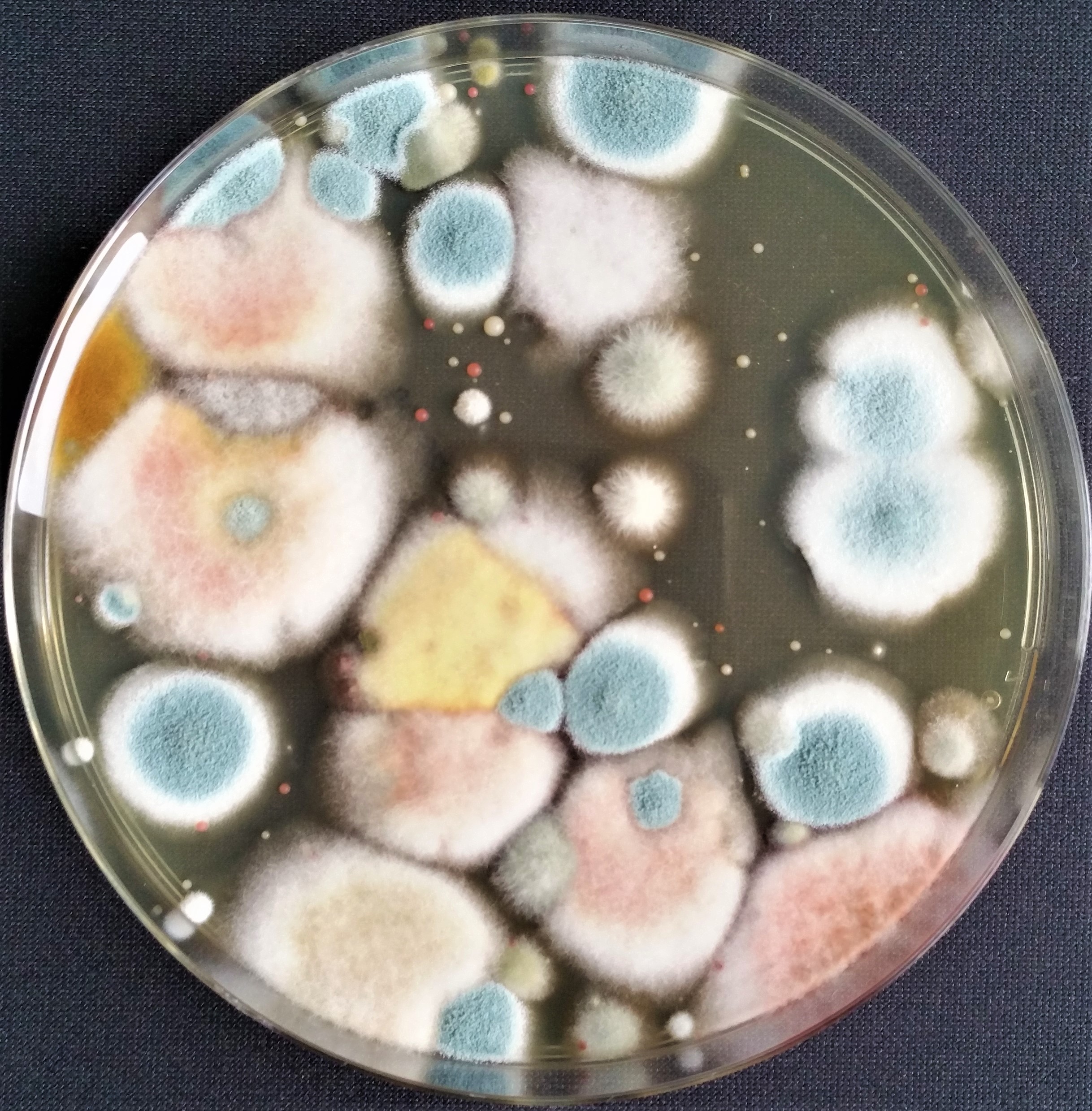 Wasser-Luft-Check, Äußere Oberaustr. 36/4 in Rosenheim