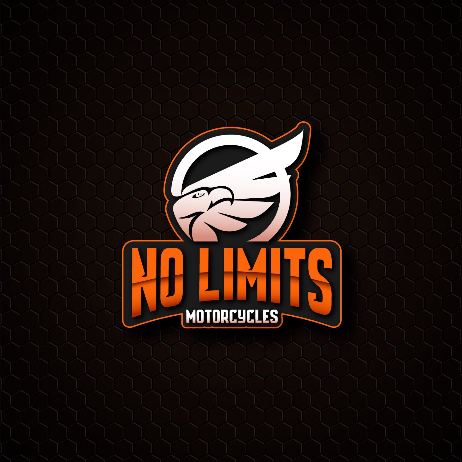 Images No Limits Motorcycles