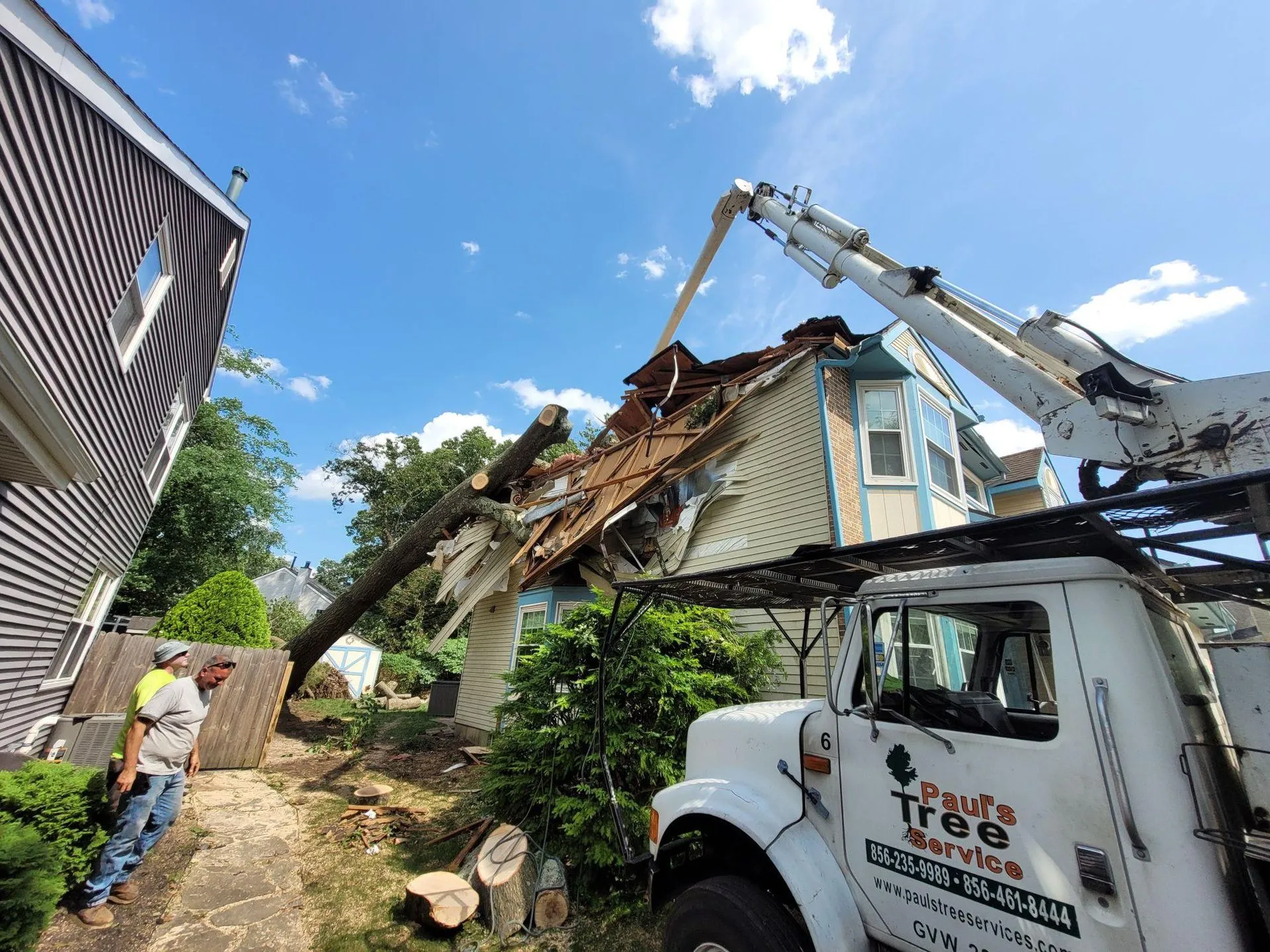 Paul's Tree Service Image