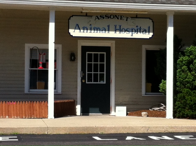 Images Assonet Animal Hospital