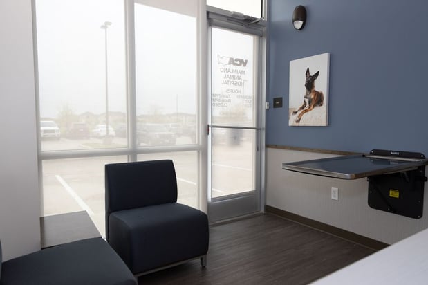 Images VCA Mainland Animal Hospital