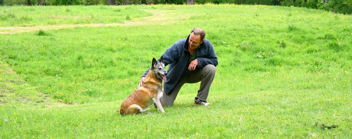 Bilder Hundeschule Wauschlau