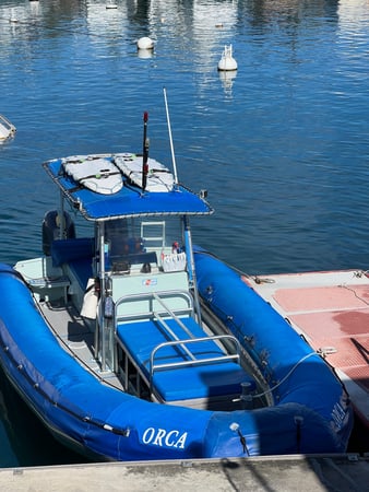 Images Kona Snorkel Trips