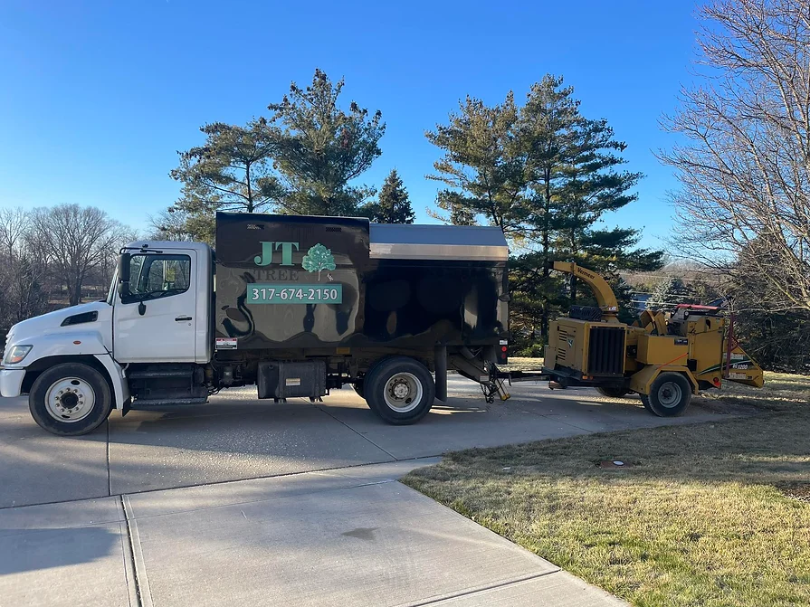 JT Tree Service
Indianapolis, IN 46236
(317) 674-2150