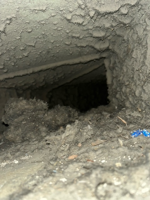 Images Expairvac