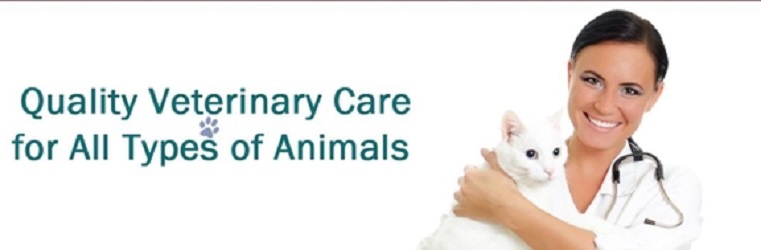 Companion Animal Hospital Denton (940)382-8689