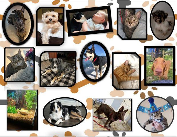 Images Brant Blessing  - State Farm Insurance Agent