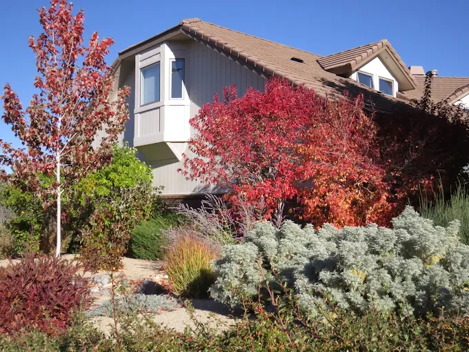 Images Tom Schuster Landscape Concepts