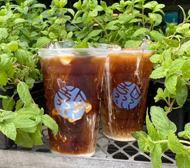 Cold Brew Coffee