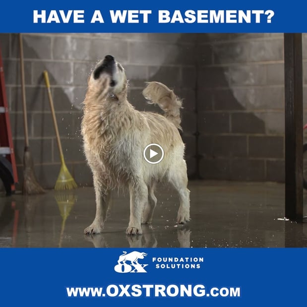 Images Ox Foundation Solutions