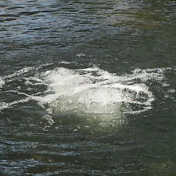 Images Fishpondaerators