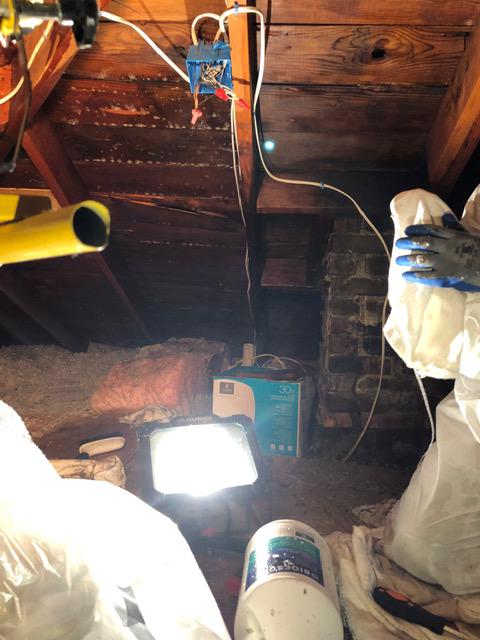 Our team working hard to get this attic mold free.