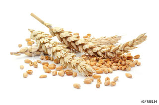 Deffland Backtechnik GmbH, Siegener Strasse 35 in Oberzeuzheim