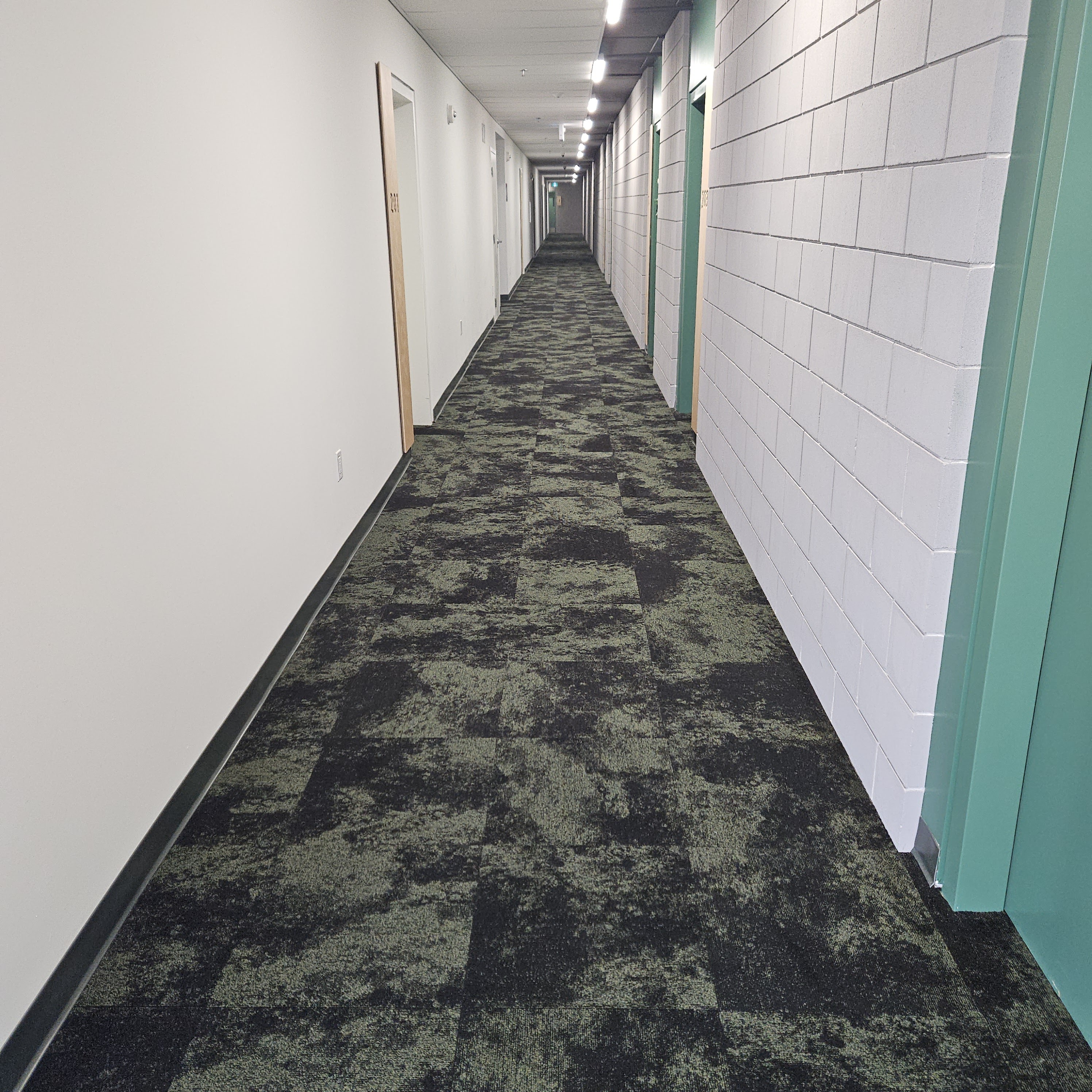Images Santos Carpet Cleaning
