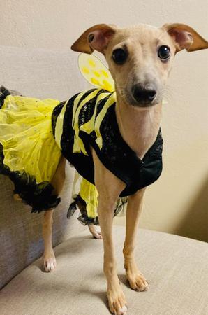 Images Valerie Bean - State Farm Insurance Agent