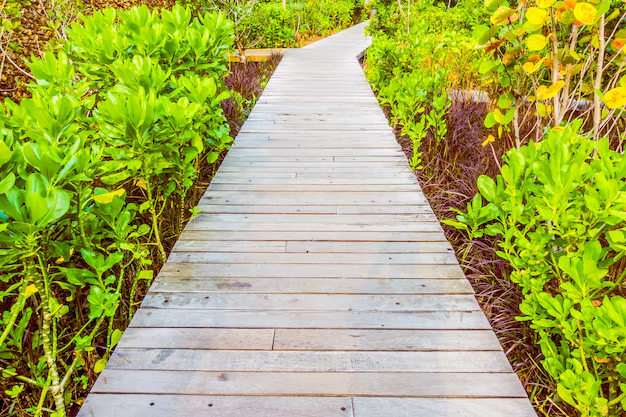 Bilder Lang Hauswartung