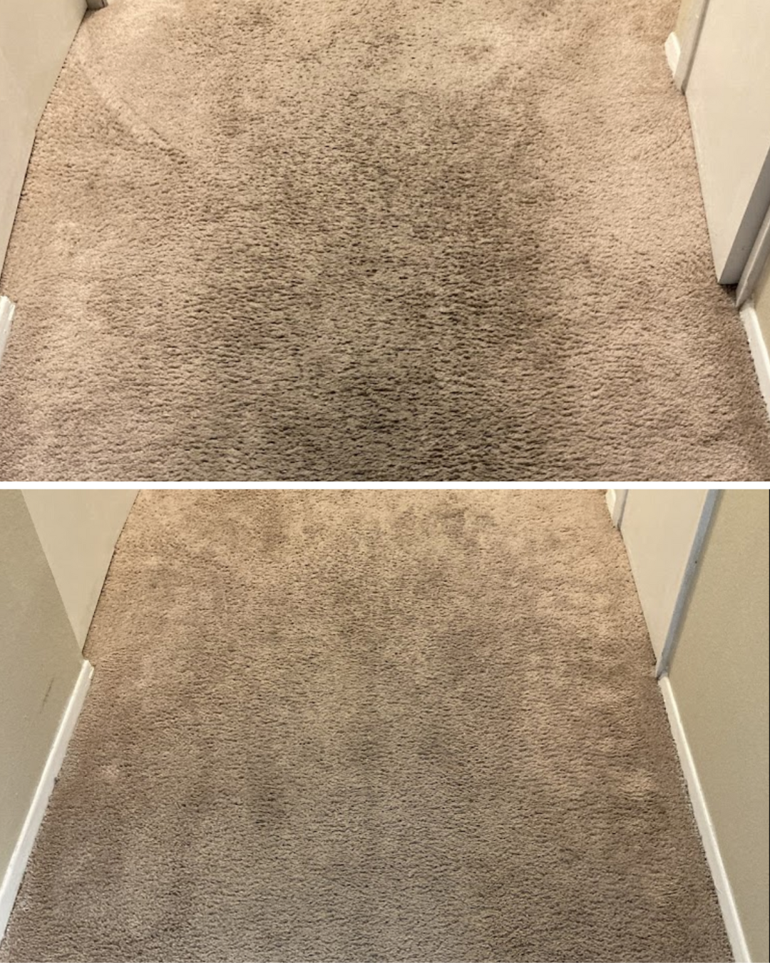 carpet cleaning everett wa Chem-Dry of Seattle Seattle (206)783-1003
